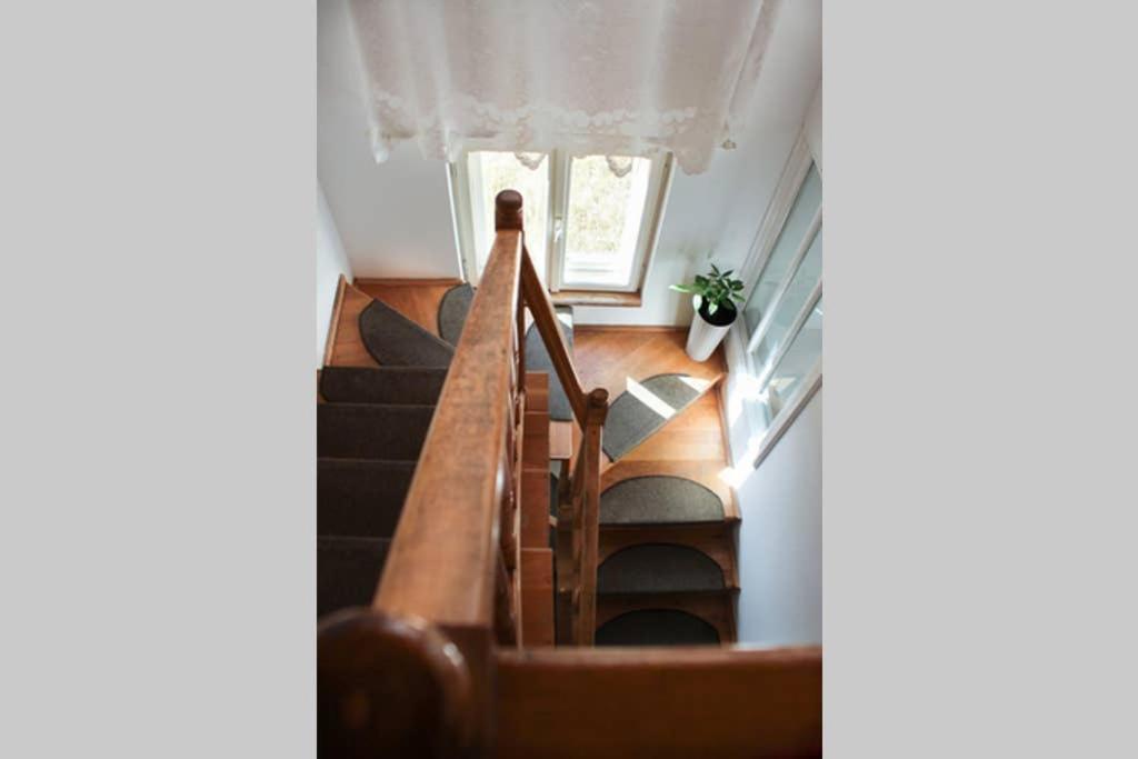 Vila Cozy, Panorama Superba, Gratar Si Relaxare Piatra Neamţ Exterior foto