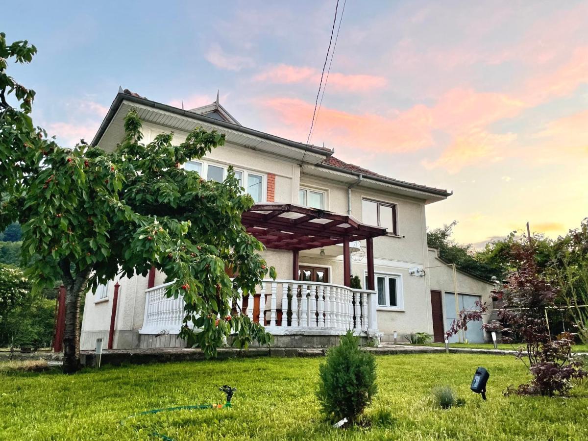 Vila Cozy, Panorama Superba, Gratar Si Relaxare Piatra Neamţ Exterior foto